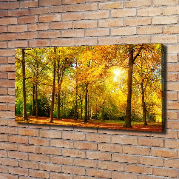 Foto op canvas Bos in de herfst