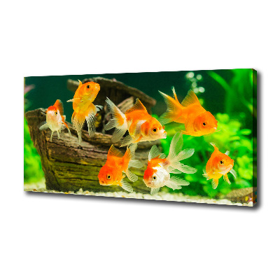 Foto canvas Goudvis