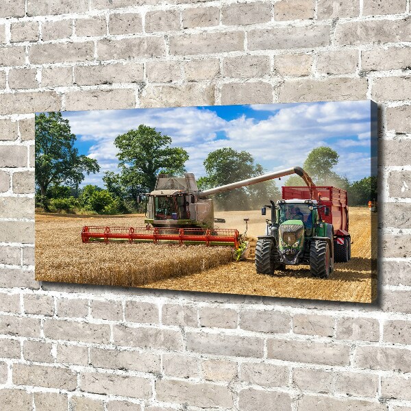 Canvas foto Maaidorser en tractor