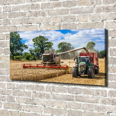 Canvas foto Maaidorser en tractor