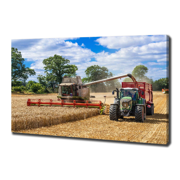 Canvas foto Maaidorser en tractor