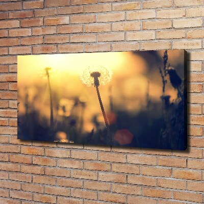 Schilderij op canvas Paardebloem