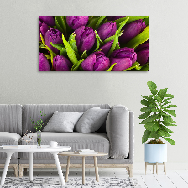 Foto op canvas Paarse tulpen
