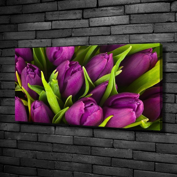 Foto op canvas Paarse tulpen