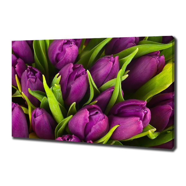 Foto op canvas Paarse tulpen