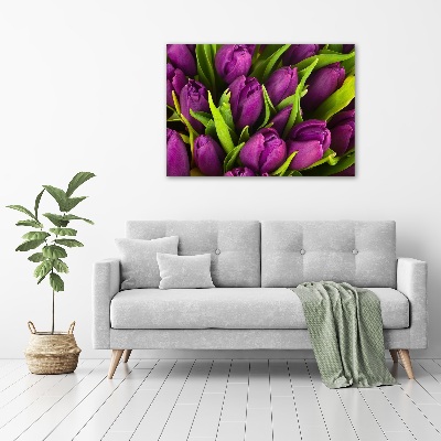 Foto op canvas Paarse tulpen