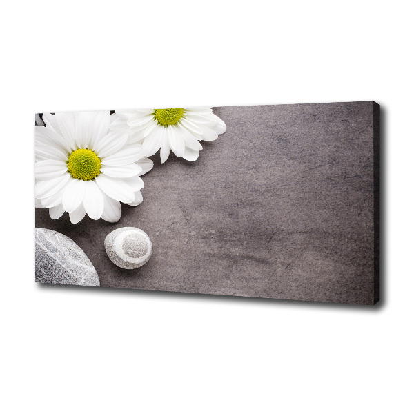 Canvas foto Gerbera