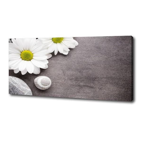 Canvas foto Gerbera