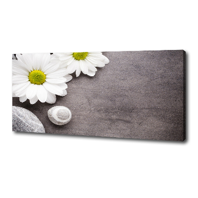 Canvas foto Gerbera