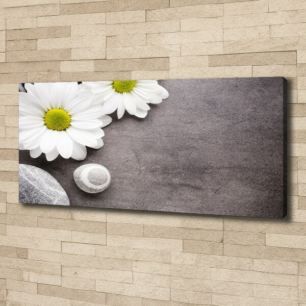 Canvas foto Gerbera