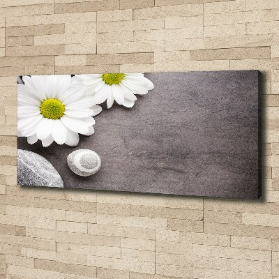 Canvas foto Gerbera