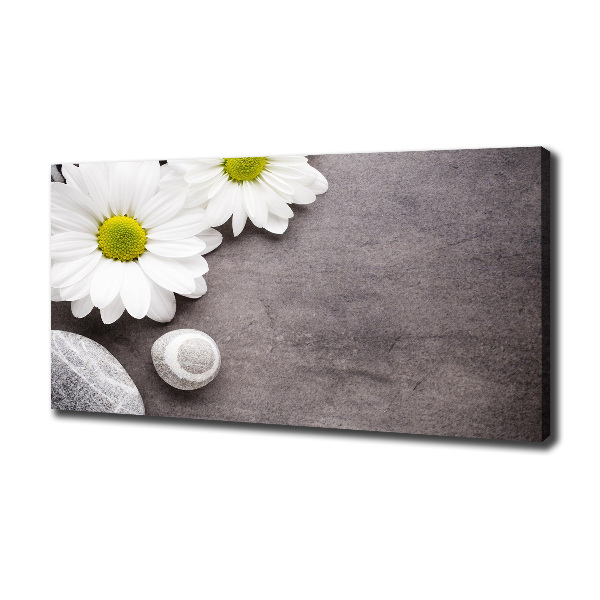 Canvas foto Gerbera