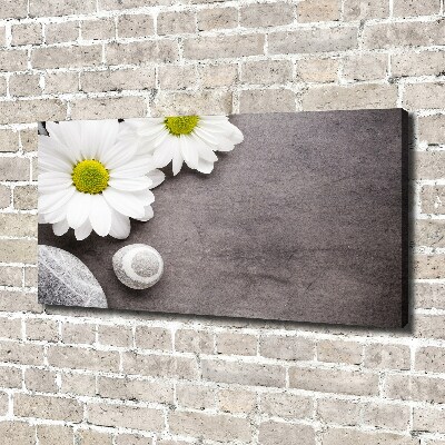 Canvas foto Gerbera