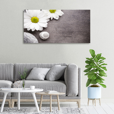 Canvas foto Gerbera