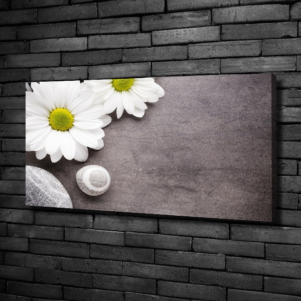 Canvas foto Gerbera