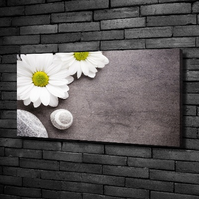 Canvas foto Gerbera