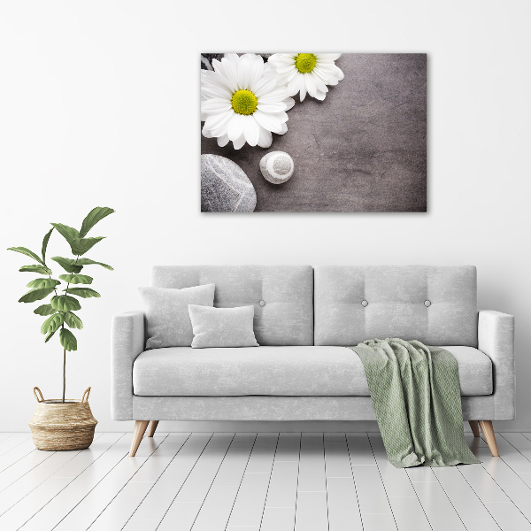 Canvas foto Gerbera