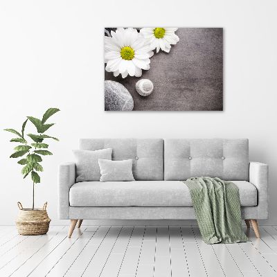 Canvas foto Gerbera