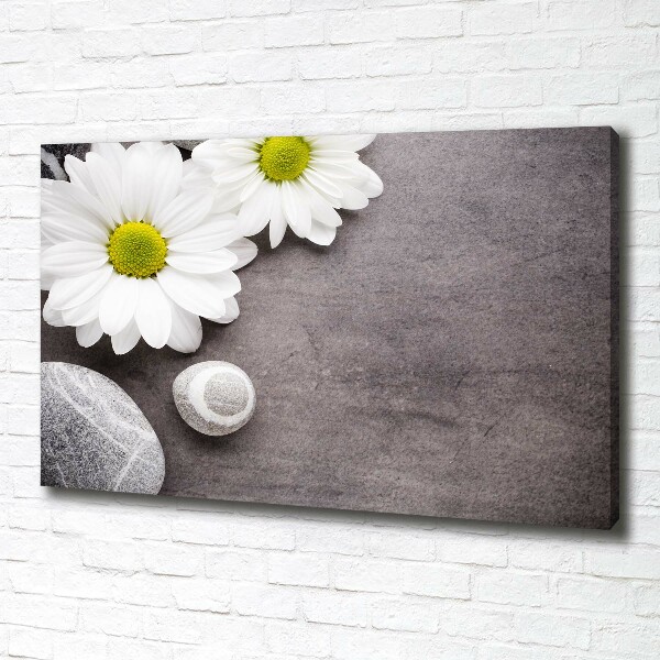 Canvas foto Gerbera