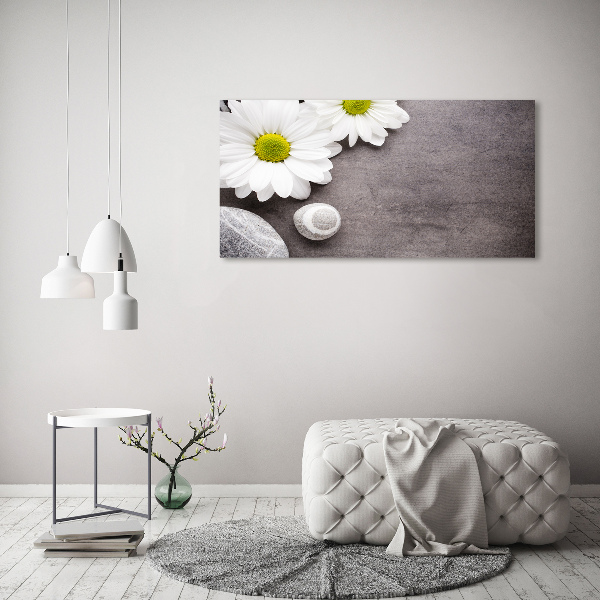 Canvas foto Gerbera