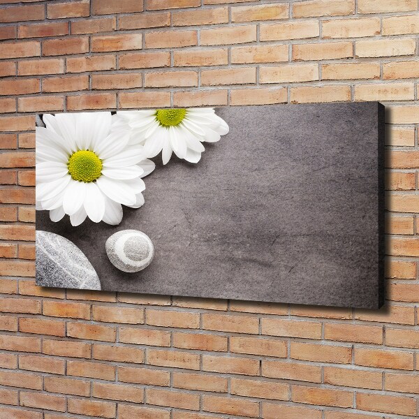 Canvas foto Gerbera