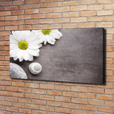 Canvas foto Gerbera