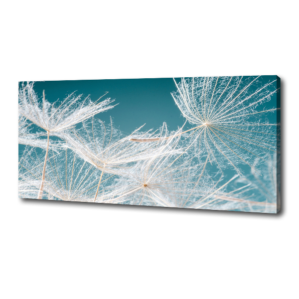 Canvas schilderij Paardenbloemzaden