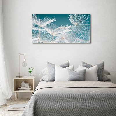 Canvas schilderij Paardenbloemzaden