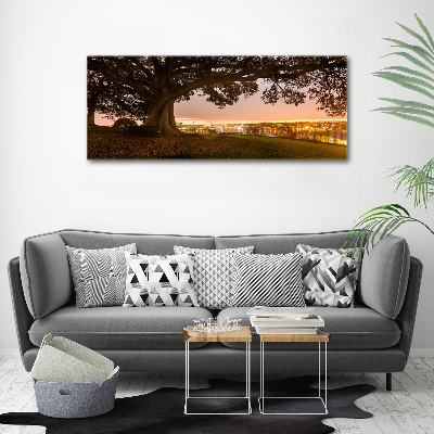 Foto op canvas Oude boom
