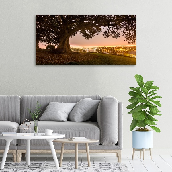 Foto op canvas Oude boom