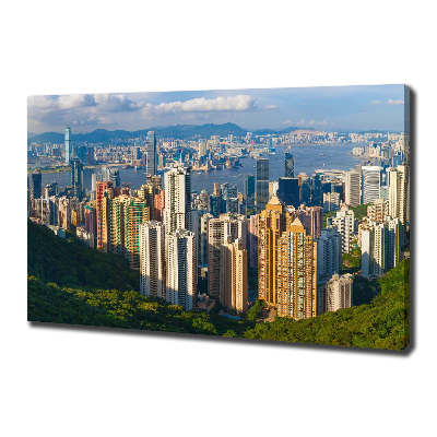 Foto canvas Panorama van Hongkong