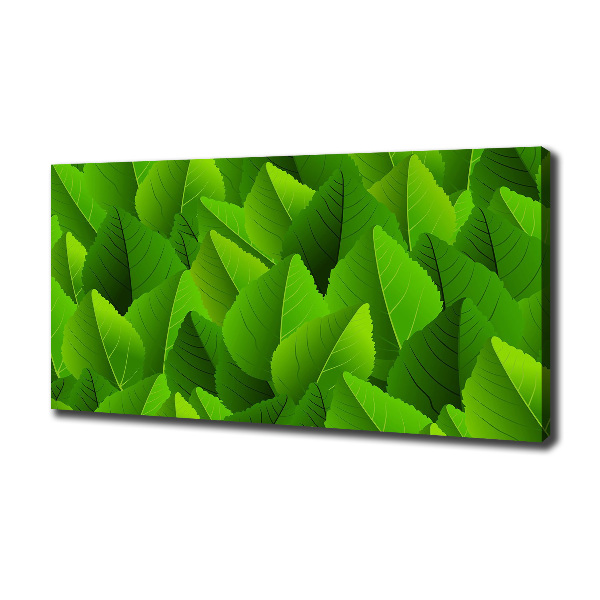 Canvas foto Groene bladeren