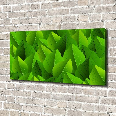 Canvas foto Groene bladeren