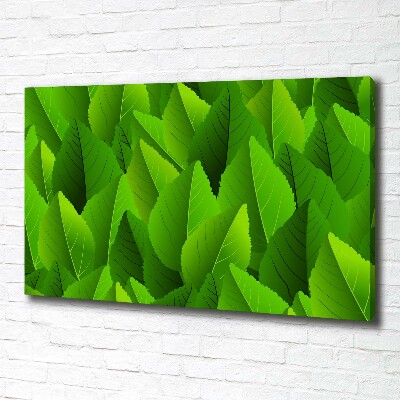 Canvas foto Groene bladeren