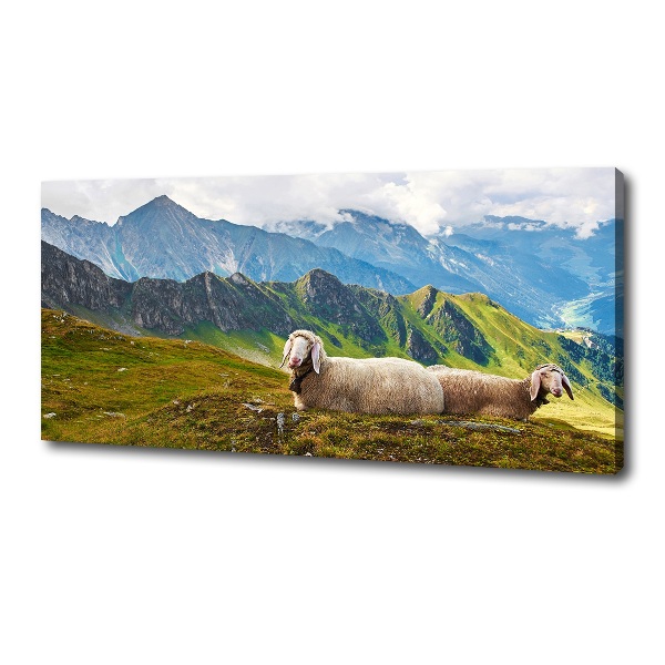 Foto canvas Schapen in de Alpen