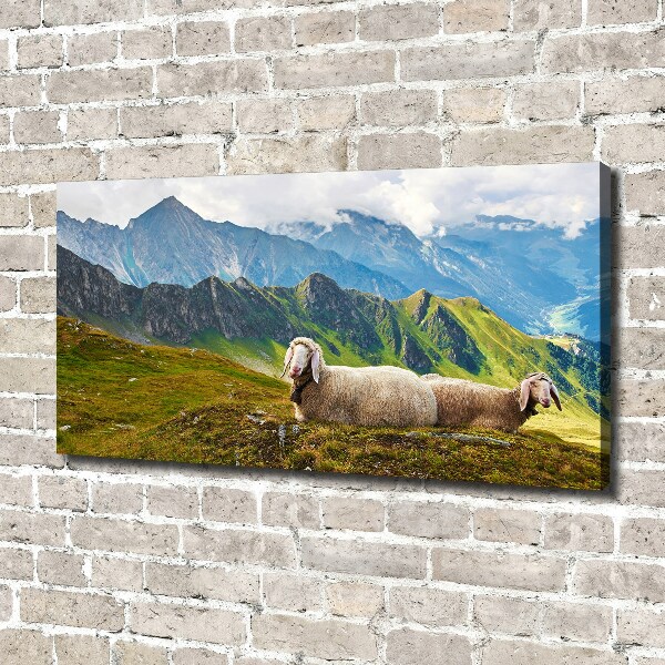 Foto canvas Schapen in de Alpen