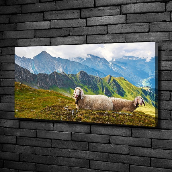 Foto canvas Schapen in de Alpen