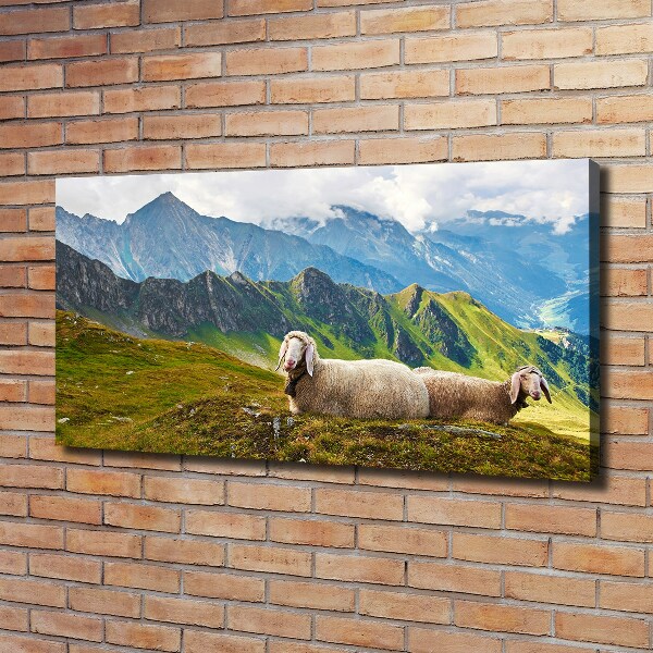 Foto canvas Schapen in de Alpen