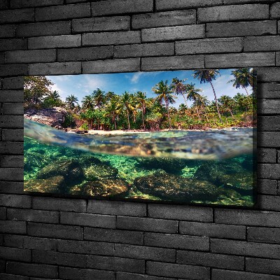 Foto op canvas Tropisch strand