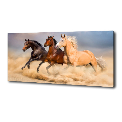 Canvas foto Paarden in galop