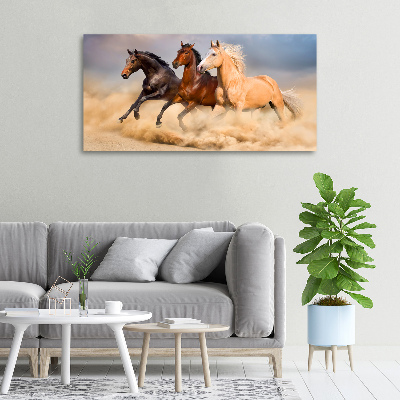Canvas foto Paarden in galop
