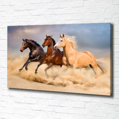 Canvas foto Paarden in galop
