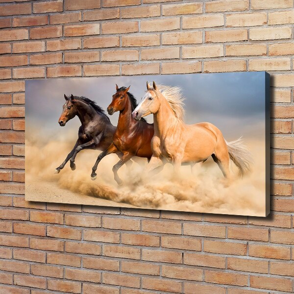 Canvas foto Paarden in galop
