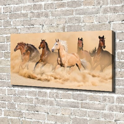 Canvas schilderij Woestijnpaarden