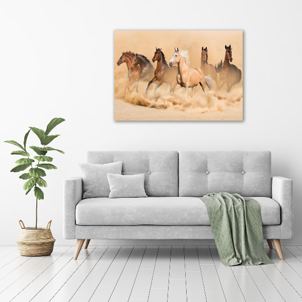 Canvas schilderij Woestijnpaarden