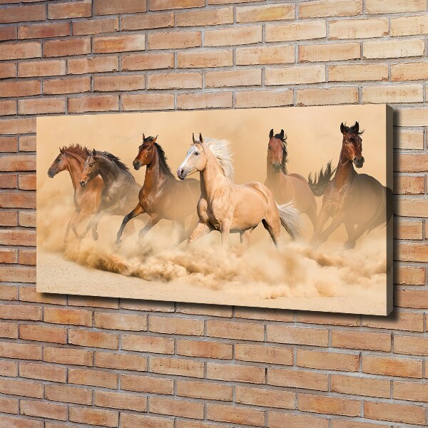 Canvas schilderij Woestijnpaarden