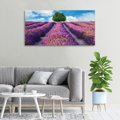Foto canvas Lavendelveld
