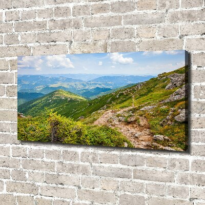 Foto op canvas Groene heuvels