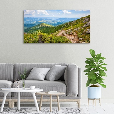 Foto op canvas Groene heuvels