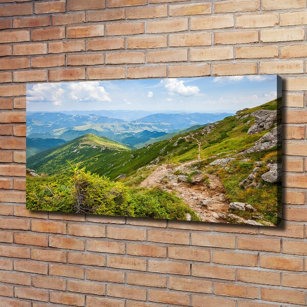 Foto op canvas Groene heuvels